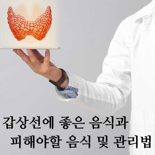 갑상선에 좋은 음식과 피해야할 음식 및 관리법