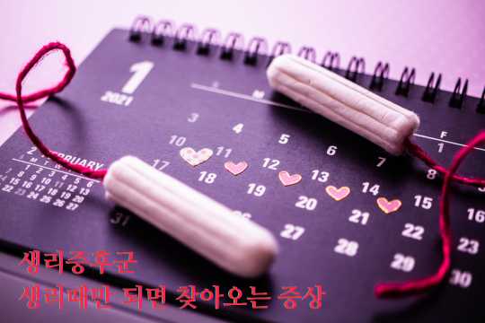 생리증후군 생리주기 체크