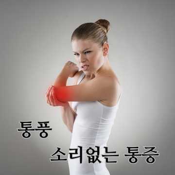 통풍 소리없는 통증