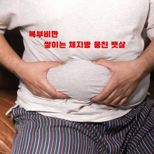 복부비만 쌓이는 체지방 뭉친 뱃살 탈출